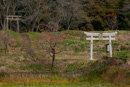 月山富田城