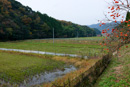 月山富田城