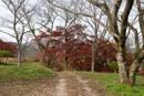 月山富田城