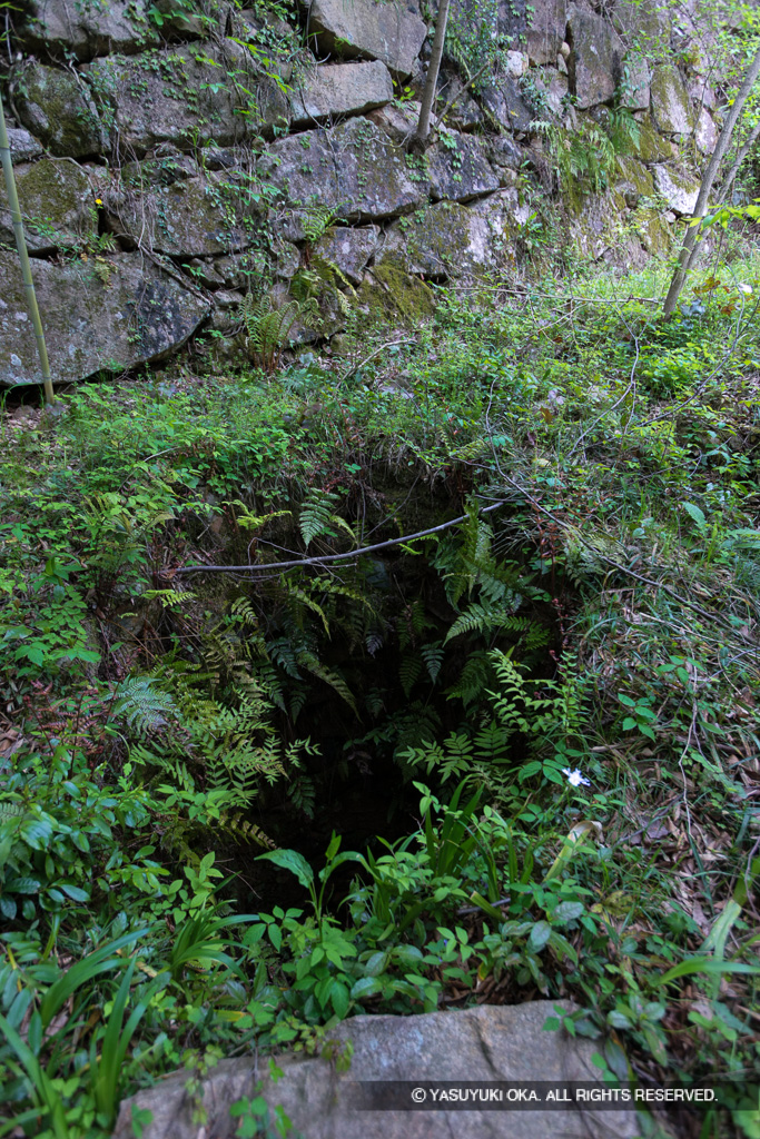 軍用大井戸