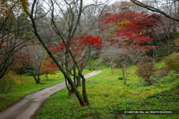 太鼓壇南側 | 高解像度画像サイズ：5616 x 3744 pixels | 写真番号：1P3J2027 | 撮影：Canon EOS-1Ds Mark III