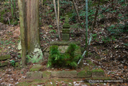 毛利元秋墓 | 高解像度画像サイズ：5616 x 3744 pixels | 写真番号：1P3J2042 | 撮影：Canon EOS-1Ds Mark III