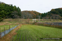 新宮党館跡 | 高解像度画像サイズ：5451 x 3634 pixels | 写真番号：1P3J2052 | 撮影：Canon EOS-1Ds Mark III
