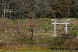 新宮党館跡 | 高解像度画像サイズ：5413 x 3608 pixels | 写真番号：1P3J2055 | 撮影：Canon EOS-1Ds Mark III