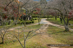 太鼓壇 | 高解像度画像サイズ:4999 x 3333 pixels | 写真番号:1P3J2123 | 撮影:Canon EOS-1Ds Mark III
