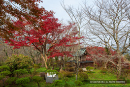 千畳平・尼子神社 | 高解像度画像サイズ：5433 x 3622 pixels | 写真番号：1P3J2225 | 撮影：Canon EOS-1Ds Mark III