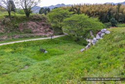 大手門跡・山中御殿平 | 高解像度画像サイズ：5616 x 3744 pixels | 写真番号：1P3J3784 | 撮影：Canon EOS-1Ds Mark III