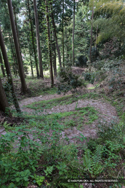 七曲り道（整備前） | 高解像度画像サイズ：3744 x 5616 pixels | 写真番号：1P3J3873 | 撮影：Canon EOS-1Ds Mark III