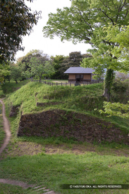 本丸跡から二の丸跡・堀切 | 高解像度画像サイズ：3744 x 5616 pixels | 写真番号：1P3J3970 | 撮影：Canon EOS-1Ds Mark III