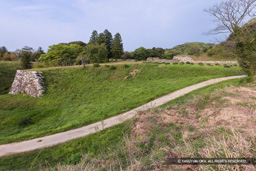 大手門跡・山中御殿平 | 高解像度画像サイズ：5524 x 3683 pixels | 写真番号：1P3J3991 | 撮影：Canon EOS-1Ds Mark III