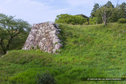 大手門跡・山中御殿平 | 高解像度画像サイズ：5616 x 3744 pixels | 写真番号：1P3J3995 | 撮影：Canon EOS-1Ds Mark III
