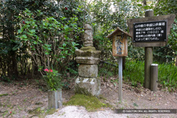 山中鹿介幸盛公供養塔・巌倉寺 | 高解像度画像サイズ：5616 x 3744 pixels | 写真番号：1P3J4020 | 撮影：Canon EOS-1Ds Mark III