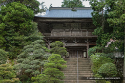 城安寺山門・松平直諒寄進 | 高解像度画像サイズ：5459 x 3639 pixels | 写真番号：1P3J4080 | 撮影：Canon EOS-1Ds Mark III