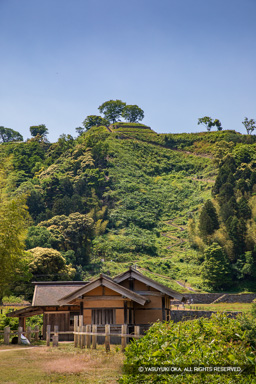 月山富田城花の壇・七曲り道 | 高解像度画像サイズ：4480 x 6720 pixels | 写真番号：5D4A0028 | 撮影：Canon EOS 5D Mark IV