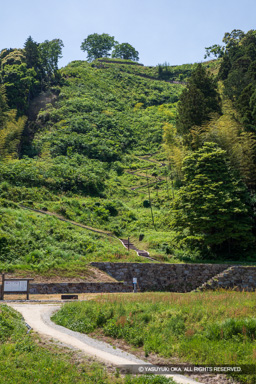 山中御殿平から七曲り道と山頂を望む | 高解像度画像サイズ：4480 x 6720 pixels | 写真番号：5D4A0070 | 撮影：Canon EOS 5D Mark IV