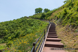 七曲り道 | 高解像度画像サイズ:6720 x 4480 pixels | 写真番号:5D4A0116 | 撮影:Canon EOS 5D Mark IV