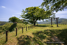 勝日高守神社 鳥居・三の丸跡 | 高解像度画像サイズ：6720 x 4480 pixels | 写真番号：5D4A0183 | 撮影：Canon EOS 5D Mark IV