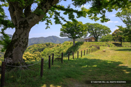三の丸跡から二の丸跡 | 高解像度画像サイズ：6720 x 4480 pixels | 写真番号：5D4A0188 | 撮影：Canon EOS 5D Mark IV