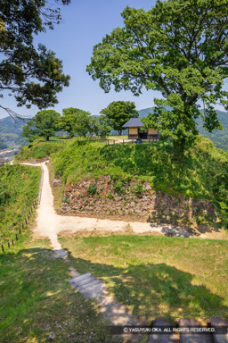 本丸跡から二の丸跡・堀切 | 高解像度画像サイズ：4480 x 6720 pixels | 写真番号：5D4A0218 | 撮影：Canon EOS 5D Mark IV