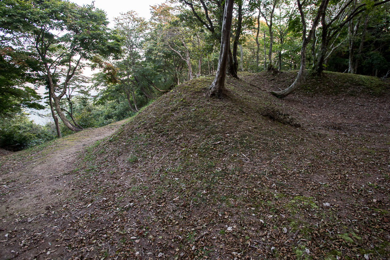 東虎口土塁