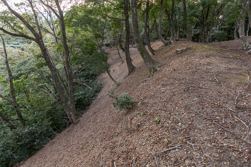 大手郭切岸