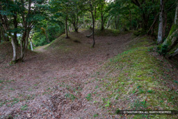 虎口郭から東虎口を望む | 高解像度画像サイズ：5184 x 3456 pixels | 写真番号：1DXL7209 | 撮影：Canon EOS-1D X