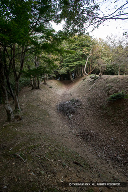 主郭北側虎口郭空堀 | 高解像度画像サイズ：3456 x 5184 pixels | 写真番号：1DXL7261 | 撮影：Canon EOS-1D X