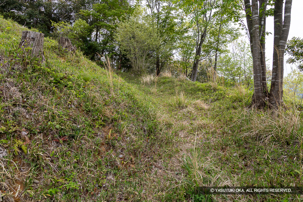 主郭下の帯曲輪