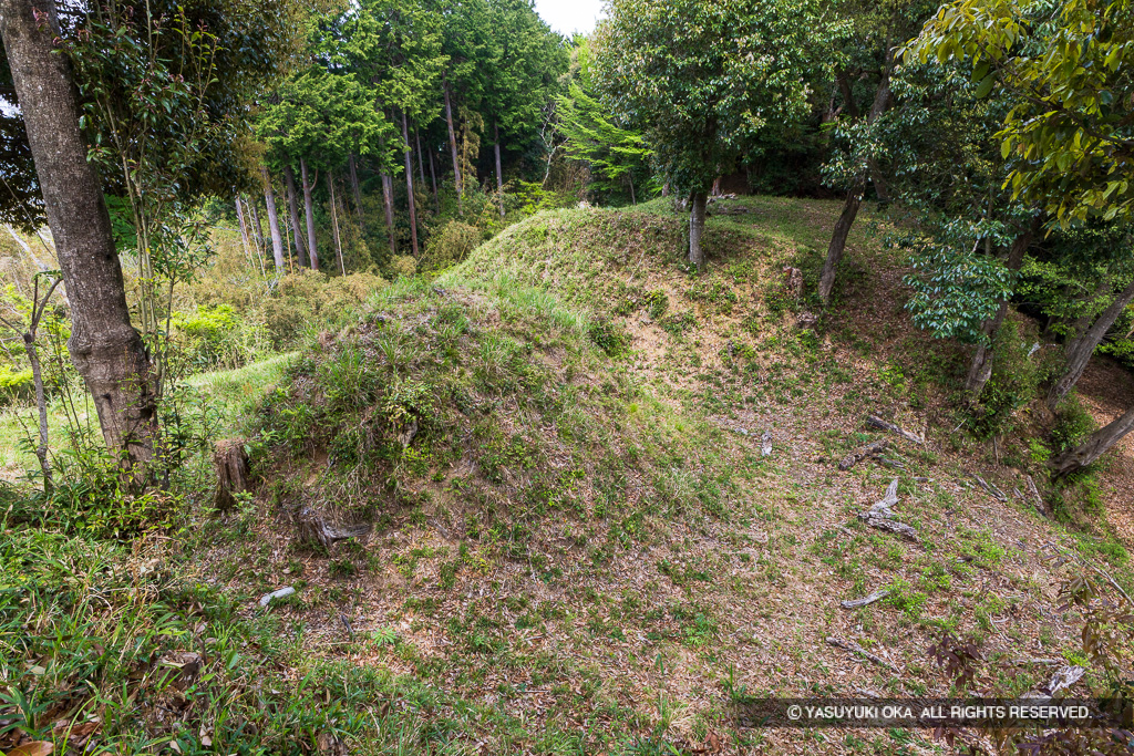 主郭と曲輪Ⅱ間の二重堀切
