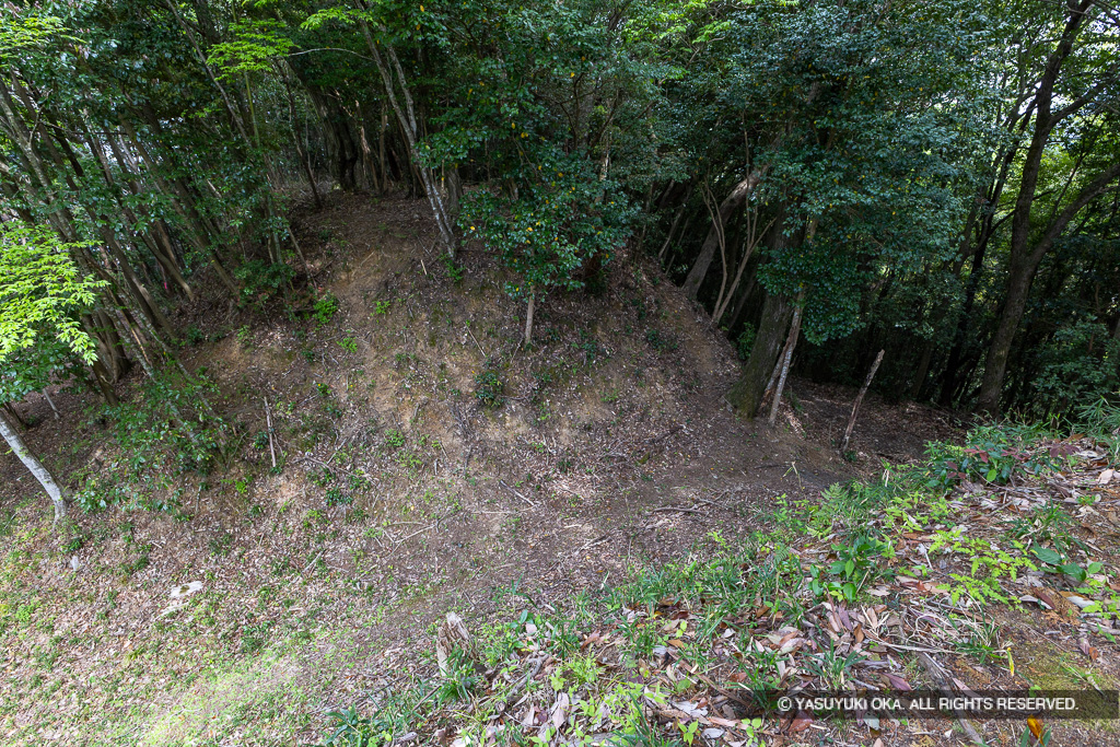 曲輪2と3の堀切