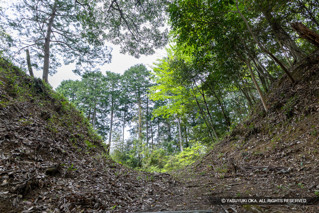 曲輪2と3間の堀切