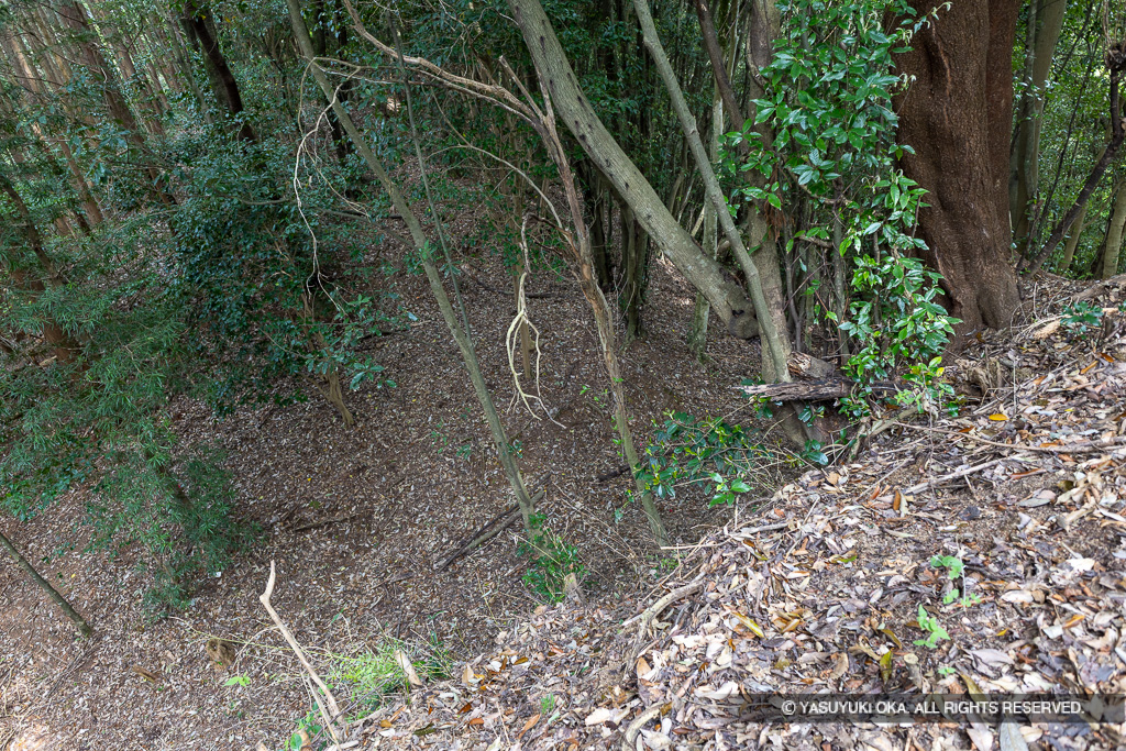 曲輪3と4間の堀切