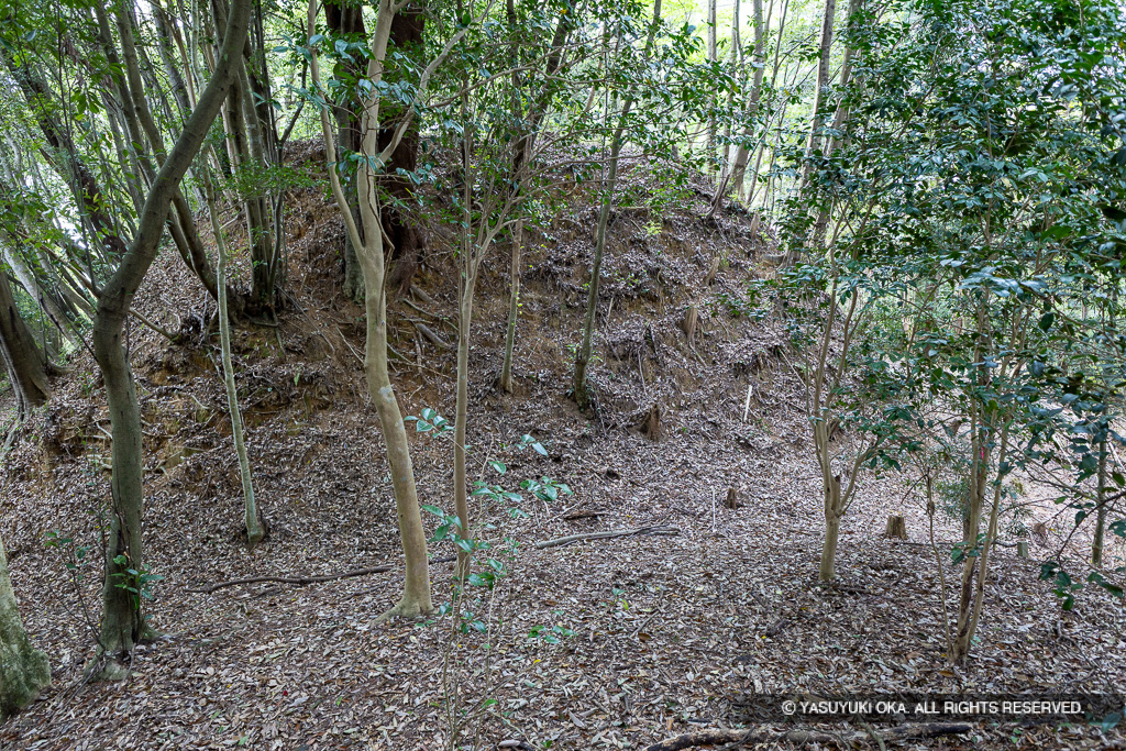 五箇篠山城曲輪3と4間の堀切