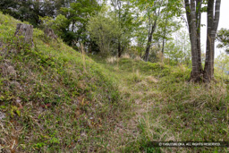 主郭下の帯曲輪 | 高解像度画像サイズ:8192 x 5464 pixels | 写真番号:6F1A7589 | 撮影:Canon EOS R5m2