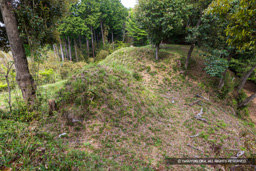 主郭と曲輪Ⅱ間の二重堀切 | 高解像度画像サイズ：8192 x 5464 pixels | 写真番号：6F1A7606 | 撮影：Canon EOS R5m2