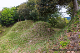 五箇篠山城主郭と曲輪2の二重堀切 | 高解像度画像サイズ：8192 x 5464 pixels | 写真番号：6F1A7607 | 撮影：Canon EOS R5m2