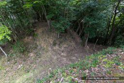 曲輪2と3の堀切 | 高解像度画像サイズ:8192 x 5464 pixels | 写真番号:6F1A7610 | 撮影:Canon EOS R5m2