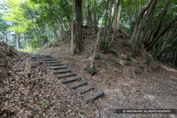 五箇篠山城曲輪3と堀切 | 高解像度画像サイズ：8192 x 5464 pixels | 写真番号：6F1A7612 | 撮影：Canon EOS R5m2