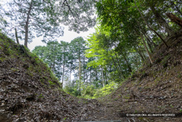 曲輪2と3間の堀切 | 高解像度画像サイズ：8192 x 5464 pixels | 写真番号：6F1A7613 | 撮影：Canon EOS R5m2