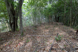 曲輪3 | 高解像度画像サイズ:8192 x 5464 pixels | 写真番号:6F1A7614 | 撮影:Canon EOS R5m2