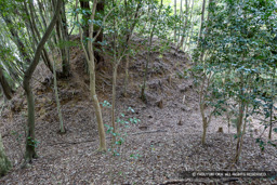 五箇篠山城曲輪3と4間の堀切 | 高解像度画像サイズ：8192 x 5464 pixels | 写真番号：6F1A7617 | 撮影：Canon EOS R5m2