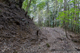 曲輪4の東端 | 高解像度画像サイズ:8192 x 5464 pixels | 写真番号:6F1A7620 | 撮影:Canon EOS R5m2