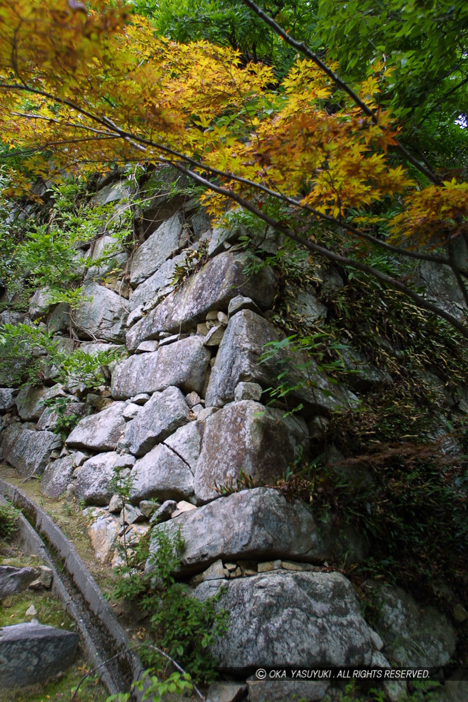 八幡山城本丸石垣