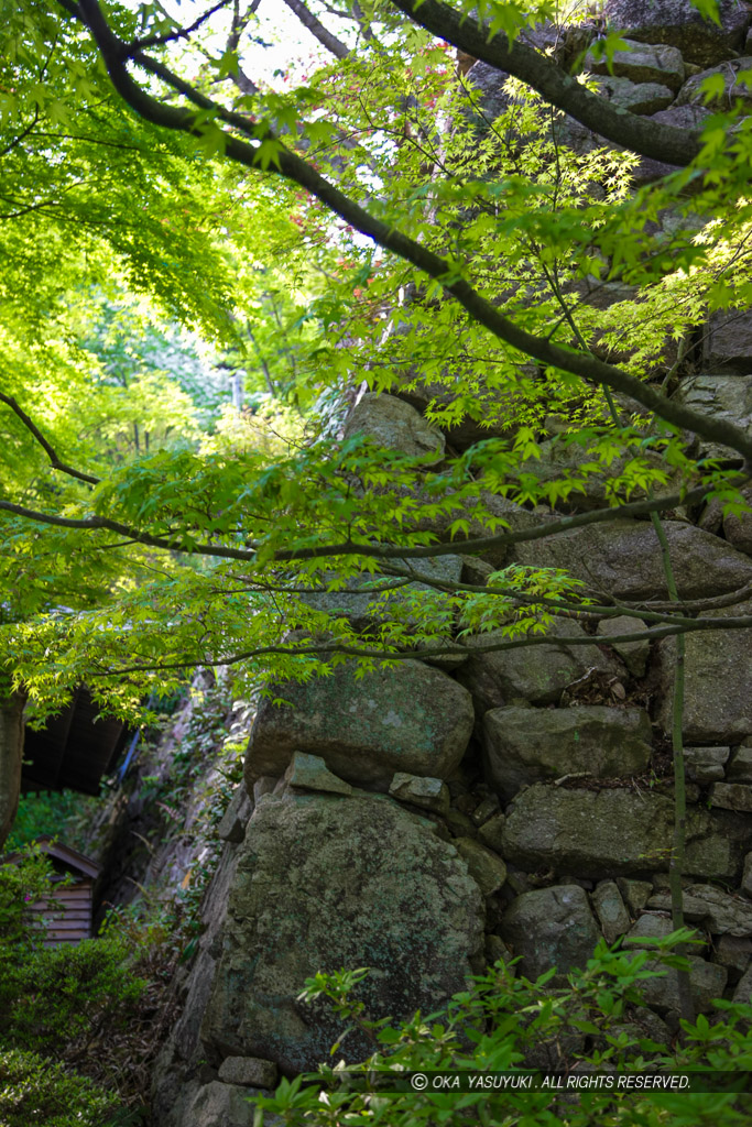 八幡山城本丸石垣