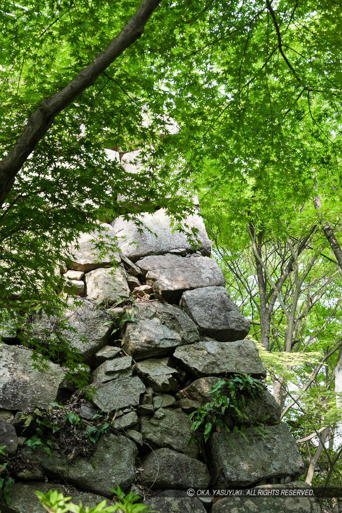 八幡山城本丸石垣