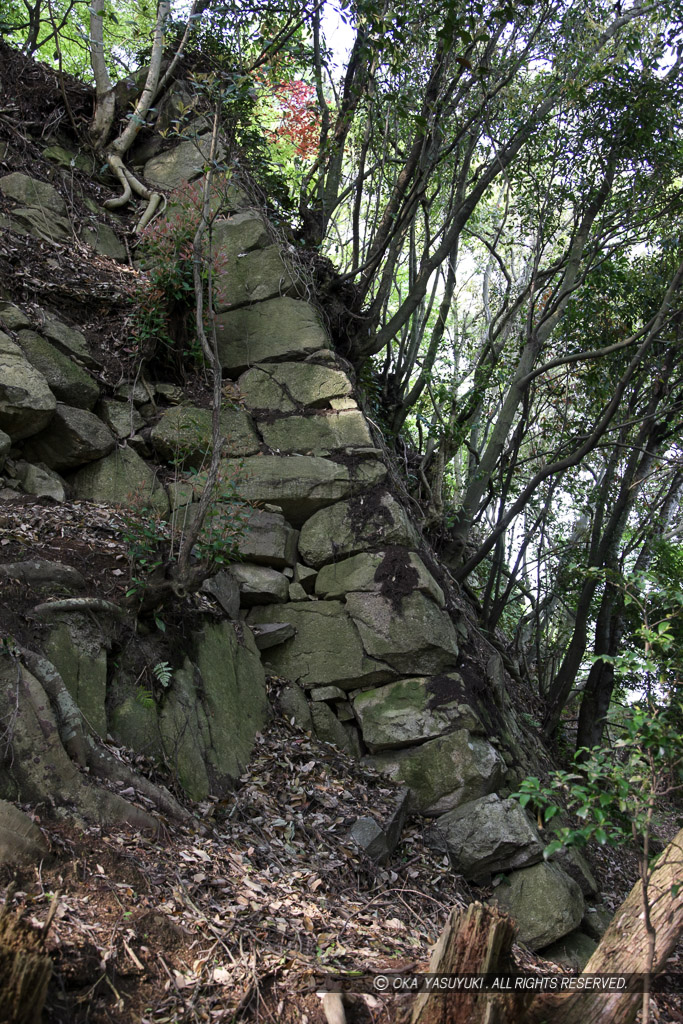 八幡山城本丸石垣