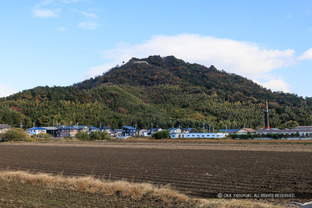 八幡山遠景