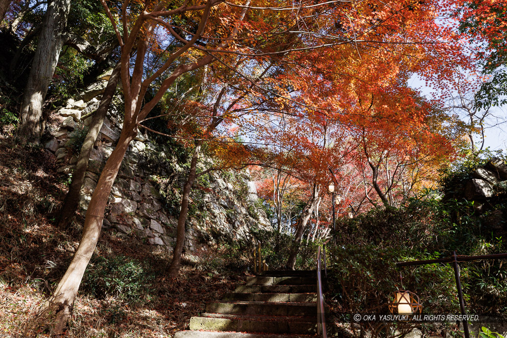 八幡山城二の丸虎口跡