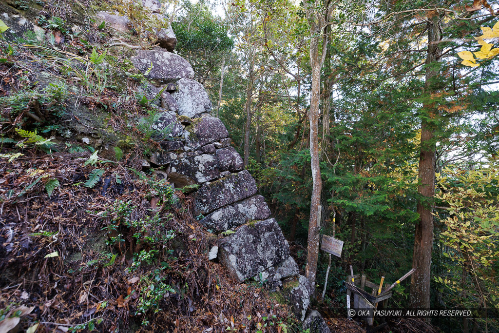 八幡山城北の丸石垣