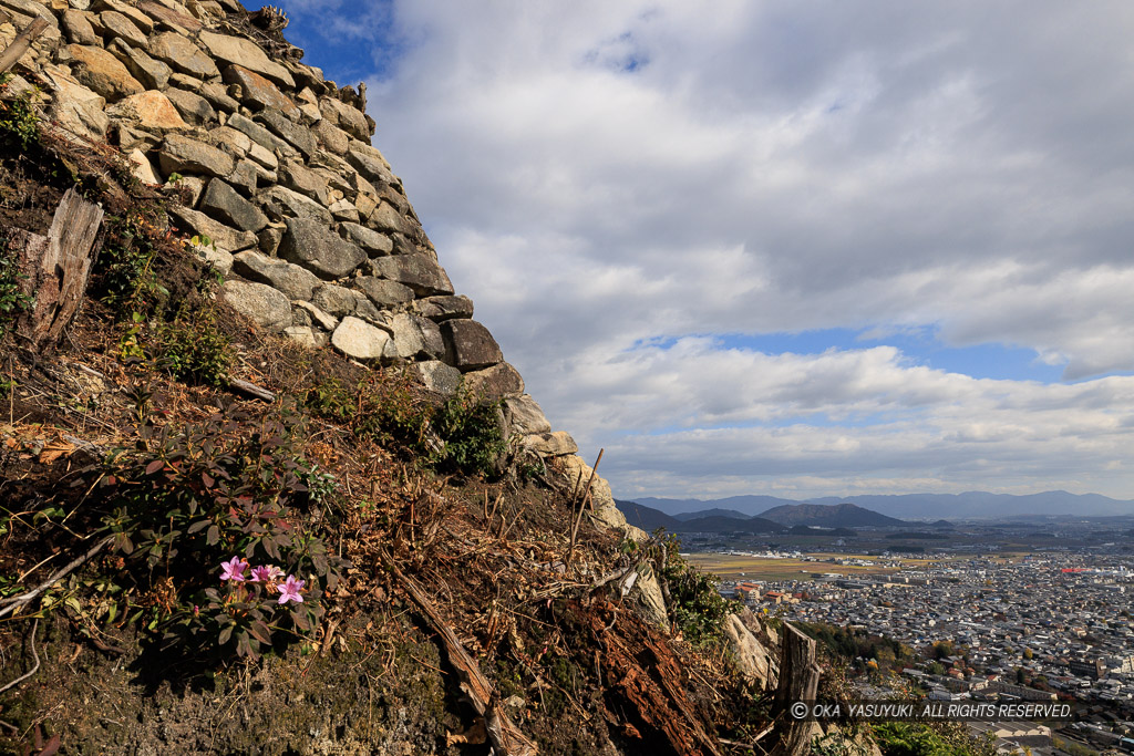 八幡山城出丸石垣南面